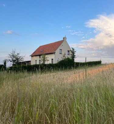 Ellezelles House | Kompas gîte