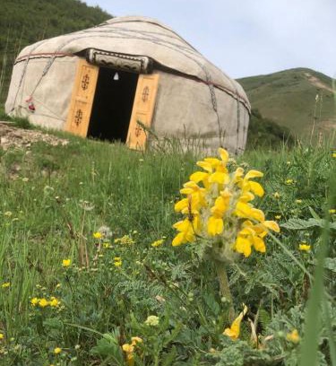 Osh Region Other | KonOK Zhurt