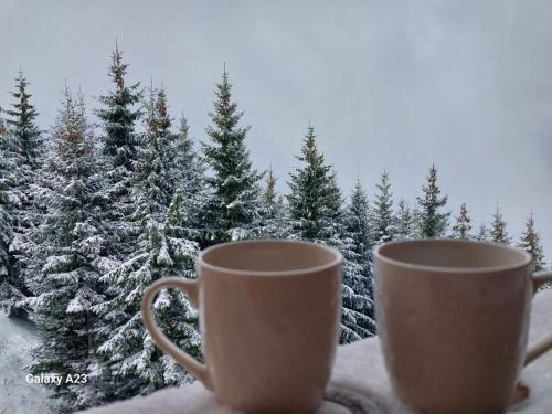 Kopaonik Apartment | Kovacevic Apartmani