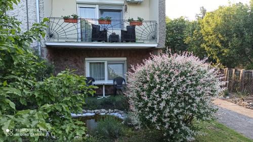 Becej Villa | Kuća Donji Park