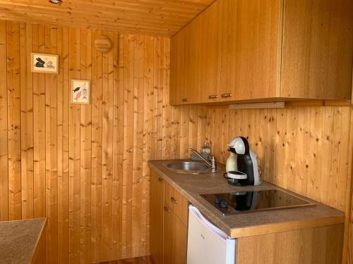Roye Ski Chalet | L'Écorce & le Tanin - 2 cabanes cosy pour 4, pêche