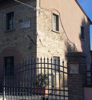 Vada Apartment | L'Aia degli olivi