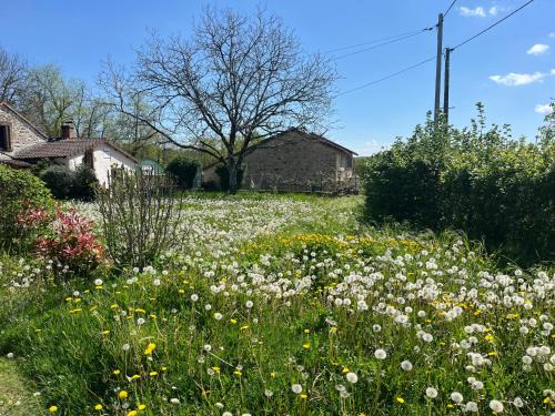 Corgnac-sur-l'Isle Apartment | L'atelier aux fleurs sauvages Rebeuse Full of nature