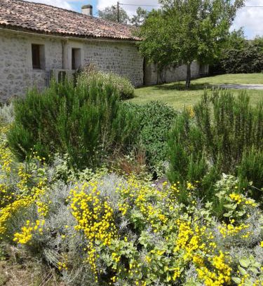 Montpellier de Medillan House | L'Hégoa