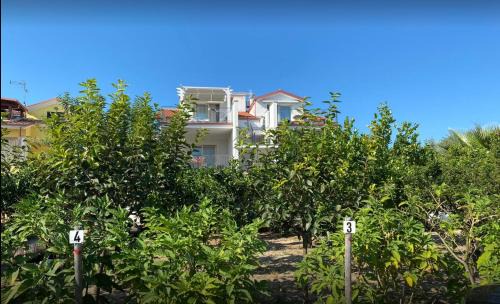 Foce Varano Apartment | L'Orto di MiLa