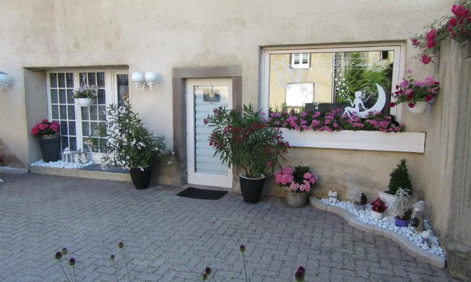 Fenetrange Apartment | La belle endormie - appartement A