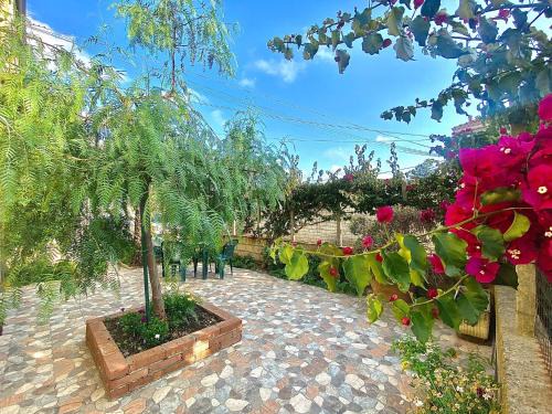 Acconia Bed & Breakfast | La Bouganville B&B