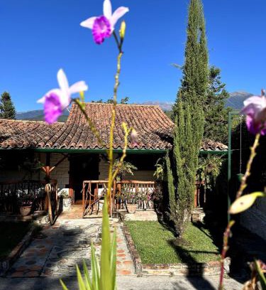 Mérida House | La Cabaña del Abuelo
