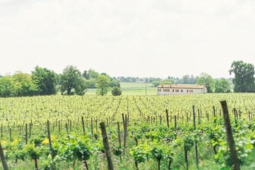 Camignone di Passirano Bed & Breakfast | La Cascinetta