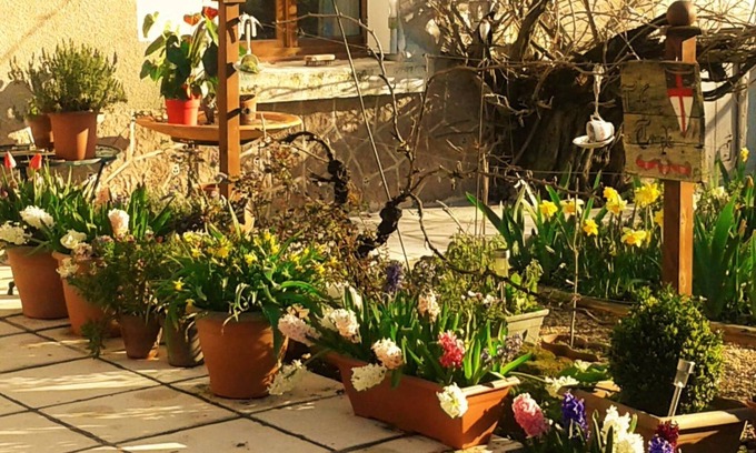 Nouatre Bed & Breakfast | La clé des jardins