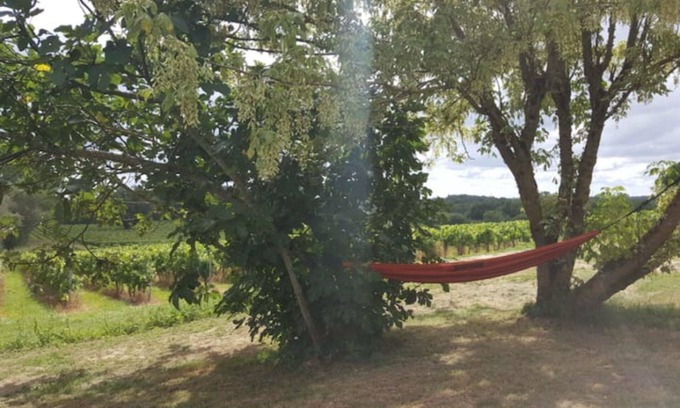 Salignac House | La Maison du Vignoble: Charme & Vue Panoramique