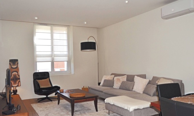 Albi House | "La Pause du Savoir Albigeois", spacious house, 1 km cathedral