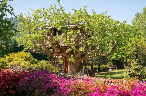 Como Other | Lake Como Dream Tree House