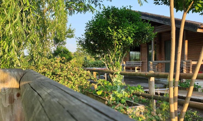 Dunavatu de Jos House | Lake Side - Lângă Lac