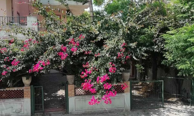 Crucoli House | lamanna house pink building