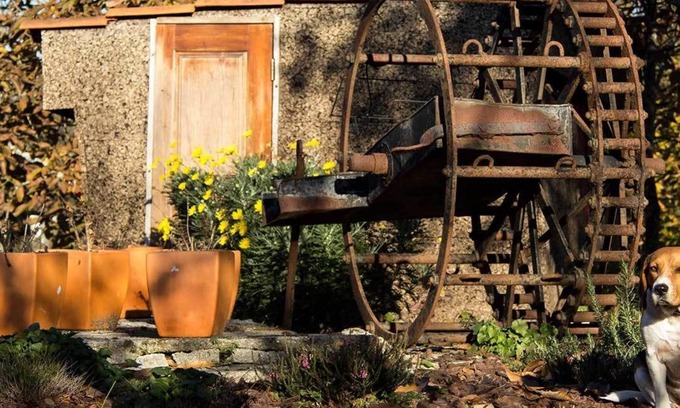 Freixo House | Laranjalimao Guest House