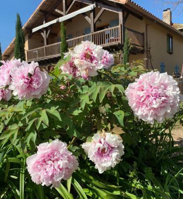 Caupenne-d'Armagnac House | Lauberge de Nogaro