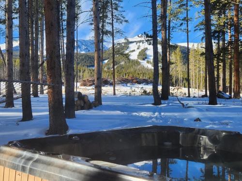 Warrior's Mark West House | Lazy Fox Lodge in National Forest View