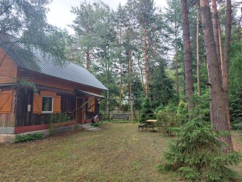 Wilga House | Leśna chatka