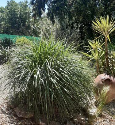 Russan Bed & Breakfast | Le calme de la garrigue