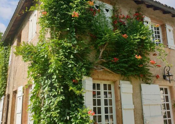 Charnay-les-Macon Bed & Breakfast | LE CARGE D’ARLAY