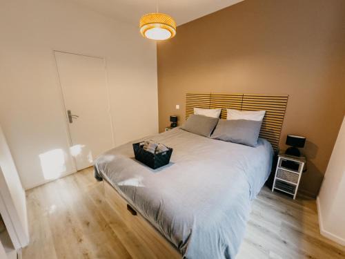 Chatel-Guyon Apartment | Le Cocon du Parc - Charmant T2 neuf au calme
