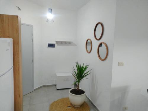 Tabarka Apartment | Le cocon