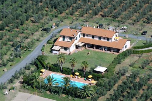 Cecina House | Le Macine
