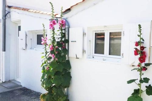 Saint-Denis-d'Oleron Apartment | Le Patio - Saint-Denis d’Oléron