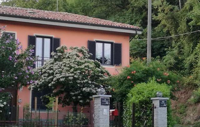 Mango House | Le rose di Mapi
