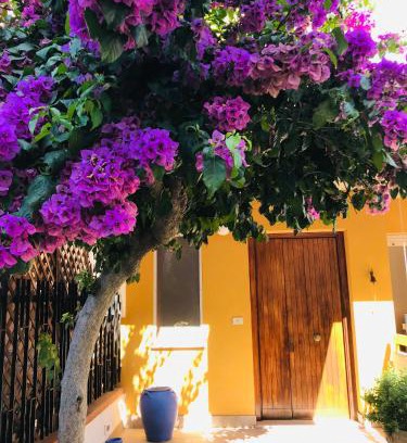 Termoli Bed & Breakfast | Le stanze di Botticelli