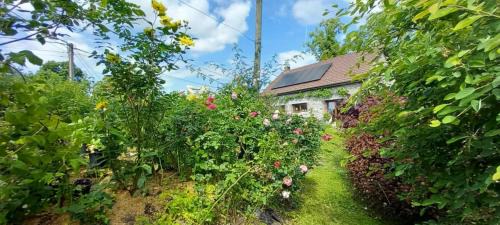 Walcourt Bed & Breakfast | Le val du vieux chêne chambre d'hôtes