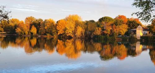 Labastide-de-Levis Apartment | Les berges du Seudo