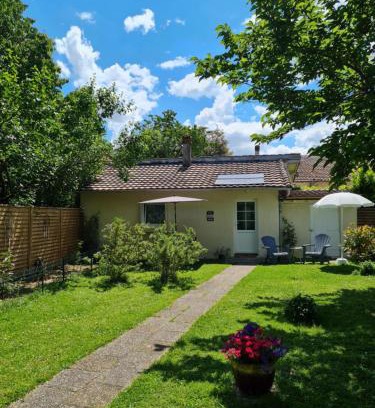 Saint-Medard-de-Mussidan Bed & Breakfast | Les cèdres bleus