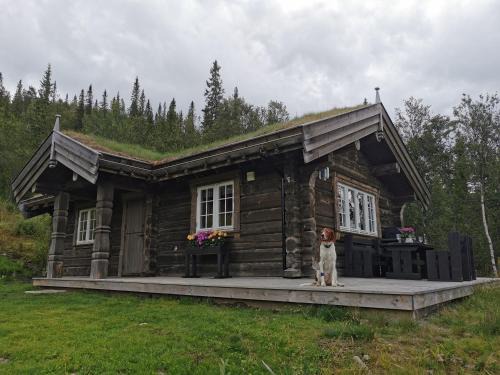 Oystre Slidre House | Liaplassen Fjellhytte