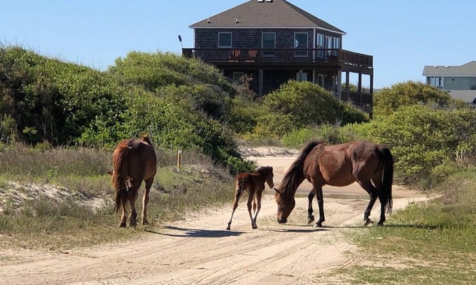 Corolla House | Life on a Sandbar! 4 Wheel Drive Beach