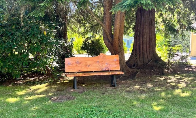 Lake Stevens Cottage | Light & Bright Modern Cottage with WiFi in charming Lake Stevens