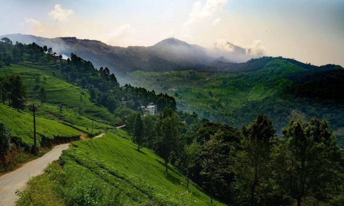Devikolam Resort | Linten Holiday Resort, Property set in Munnar.4.7km from MUNNAR