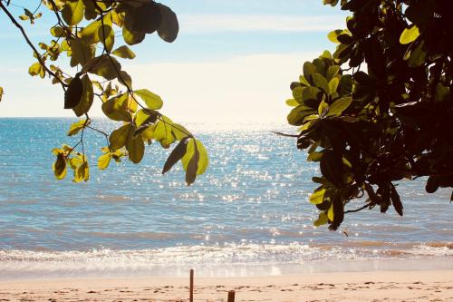 Carita Apartment | Lippo Carita Beach Utara Condo Noah