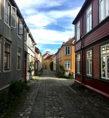 Trondheim City Centre Apartment | Liten studioleilighet meget sentralt i sentrum, 3 minutter fra torget