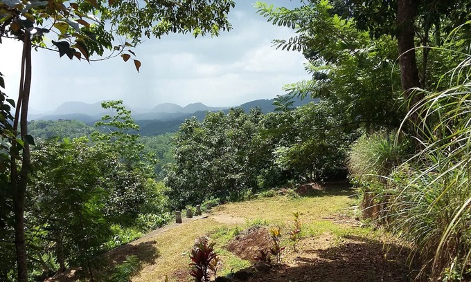 Puwakpitiya House | LIVE IN A TEA ESTATE : QUIET : GREEN : FOREST AT HIGH ELEVATION : SPLENDID VIEWS