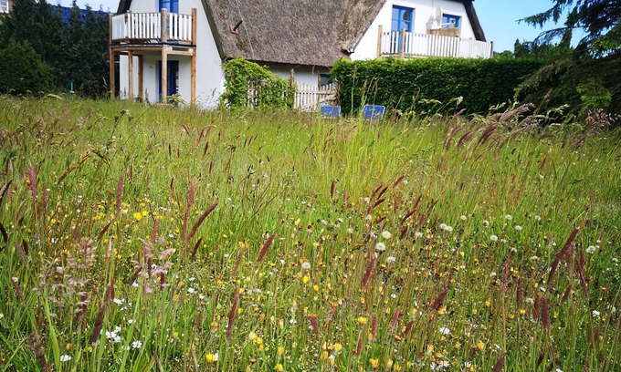 Lancken-Granitz Apartment | Living under "thatch" Family-friendly, dogs allowed, garden+large open space