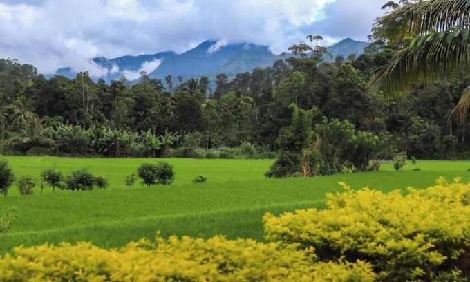 Kumbalwela House | Ella Nature Valley Homestay - Deluxe Family Room with Mountain View