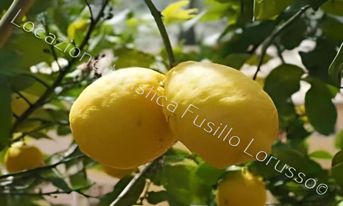 Barletta Apartment | Locazione Turistica Fusillo Lorusso con parcheggio privato in loco