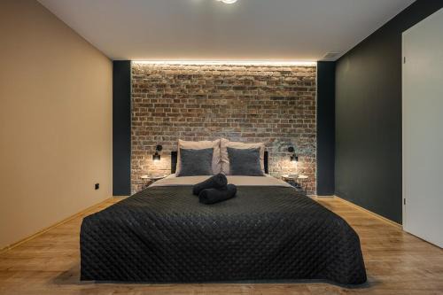 Rybnik Apartment | Loft House Double Apartament z ogródkiem