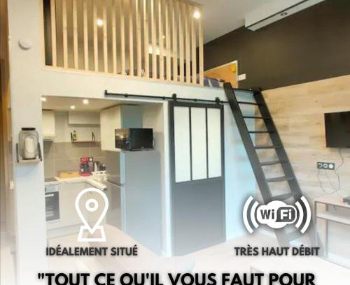 Aix-les-Bains Apartment | Loft moderne dans un palace bourgeois