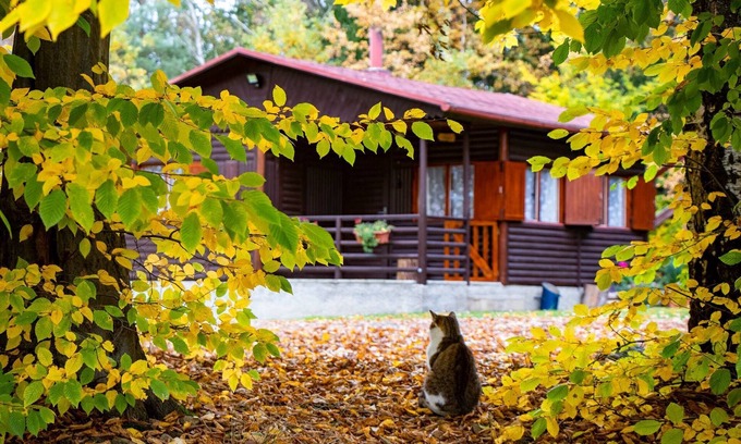 Zeliv Cabin | Log Cabin 1, Sleeps 2+1, Great Views, Pet Friendly, Lake, Forest View, Dbl Bed