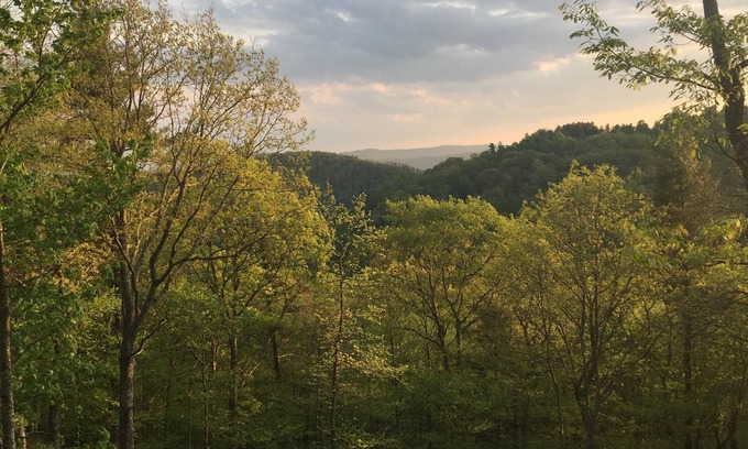 Laurel Springs House | Log Cabin on 9 private acres on Blue Ridge Parkway with gorgeous views
