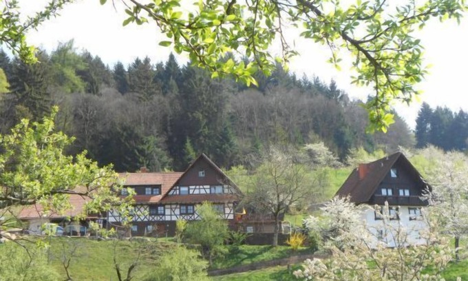 Busterbach Apartment | Log cabin Tanne, max. 4 persons