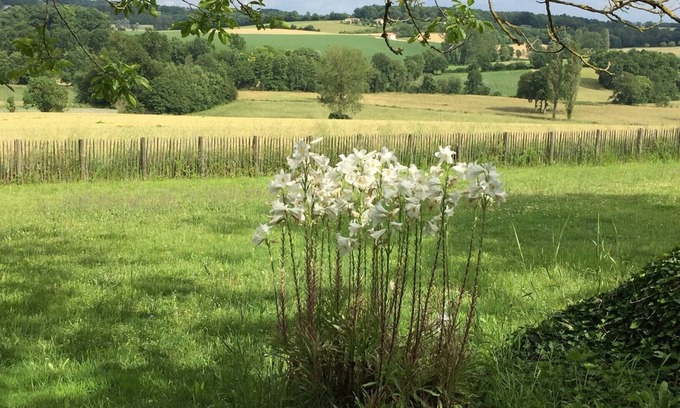 Lusignac House | Looking for a cosy cottage in the peaceful Dordogne/Charente area? You found it.